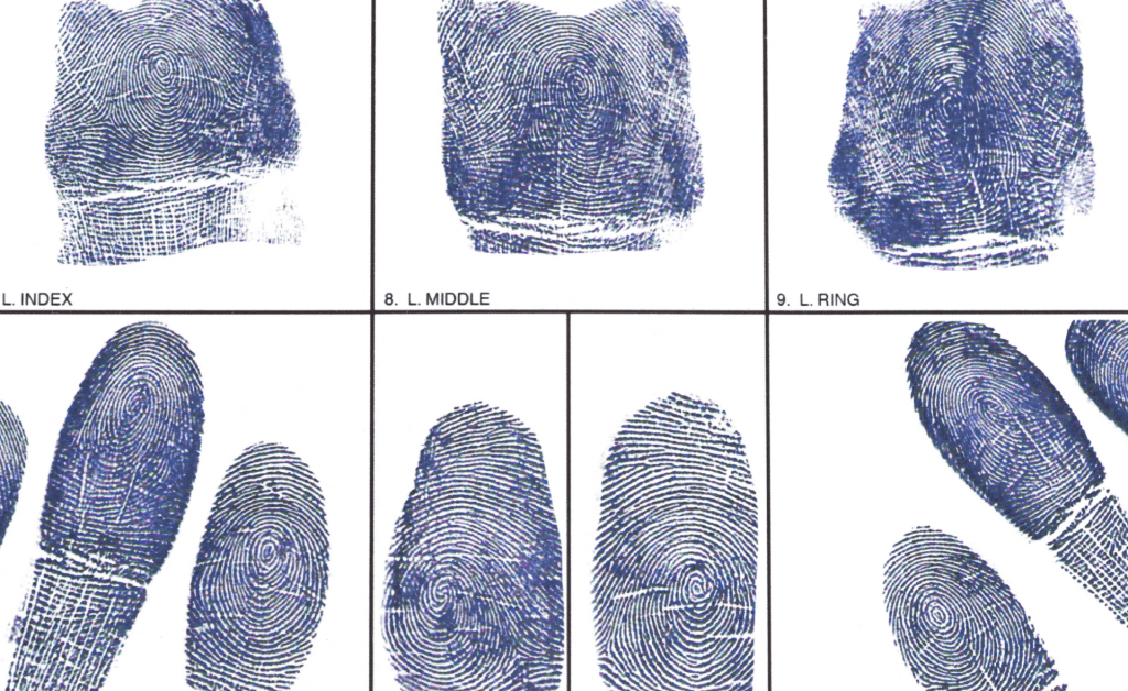 Fingerprint Cards Miami Beach,FL MiamibeachNotary